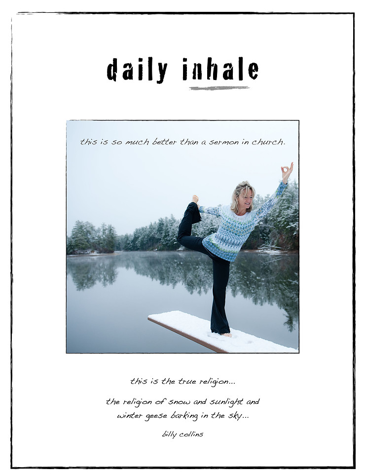 daily insight 11:19