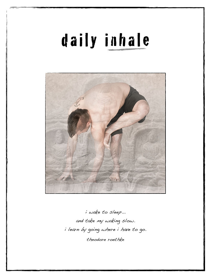 daily insight 2:03