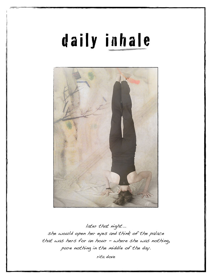 daily insight 2:2