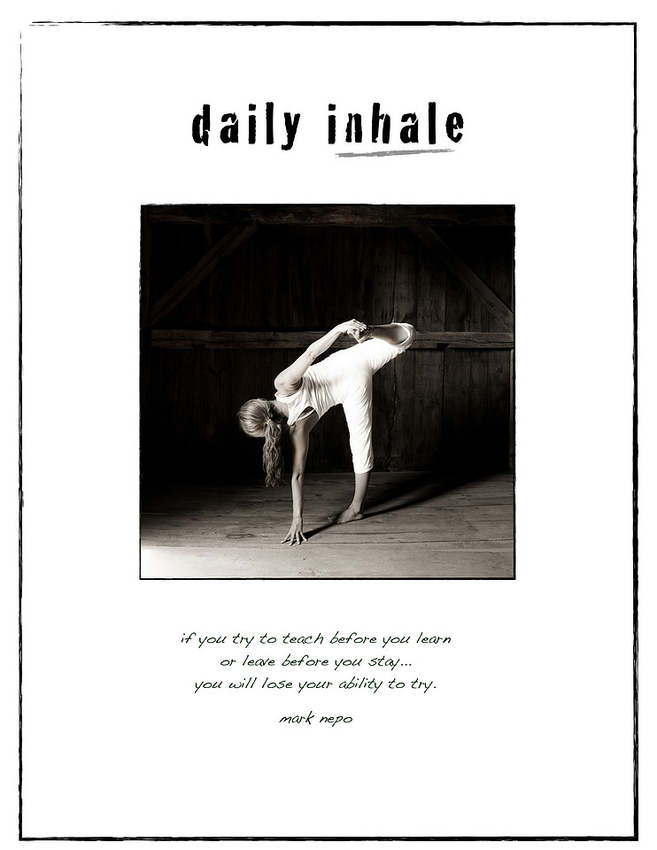 daily insight 02:4